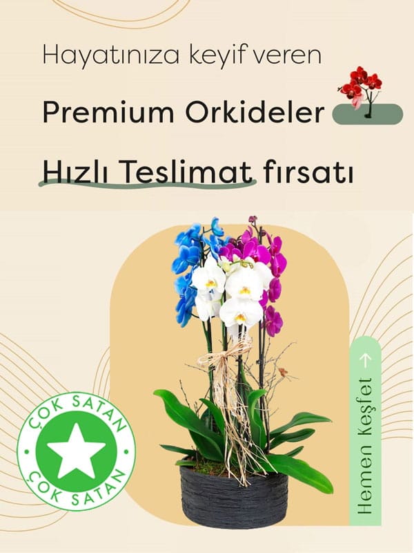 Isparta Eğirdir Gültekin Çiçekçilik | Isparta Eğirdir Çiçekçi &ndash; Aynı Gün Teslim