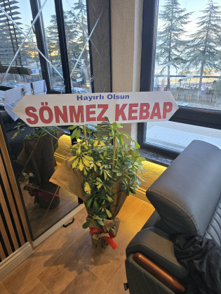 Saksı Çiçeği Şeflera